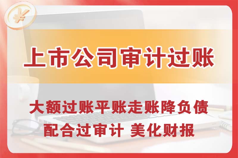 汕尾上市公司审计过账